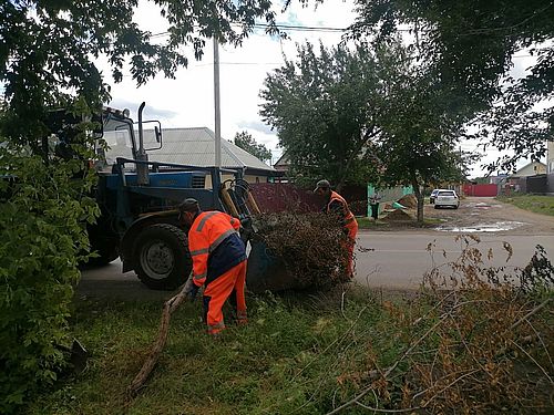 Фото: «Спецавтобаза ЖКХ», «Абаканское парковое хозяйство»